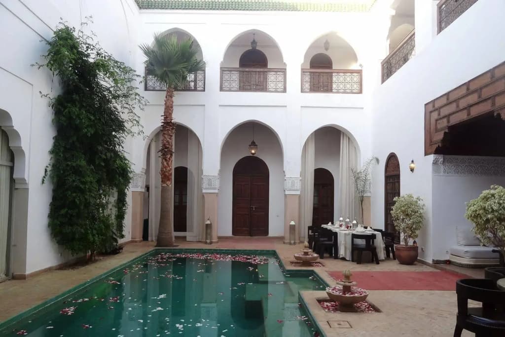 Riad Shama - photo 16