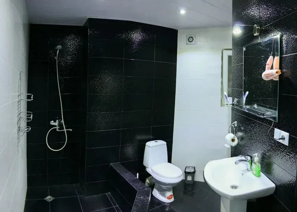 Negini Guest House - photo 8