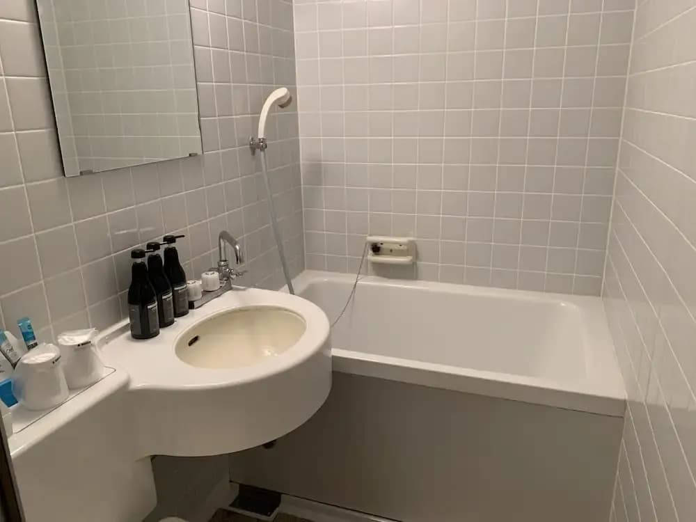 Roppongi Plaza Hotel - photo 9