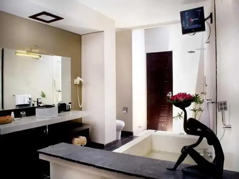 The Replica Suite - photo 3