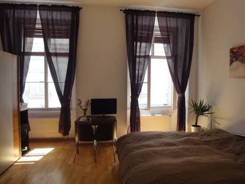 Vienna Old Town Apartments - photo 5