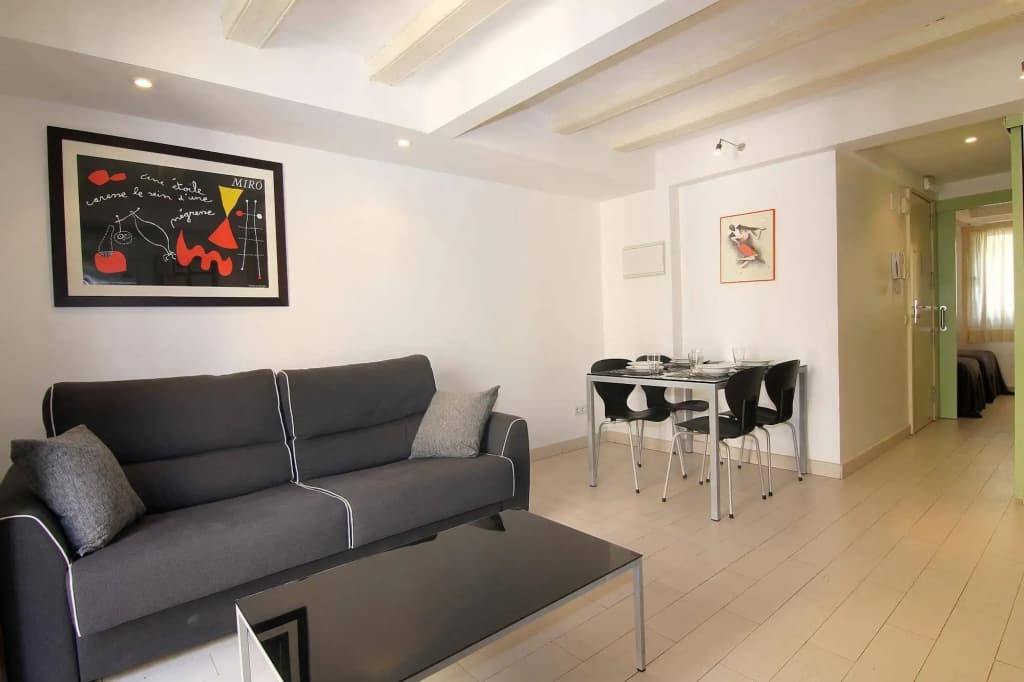 Ramblas Apartments - photo 11
