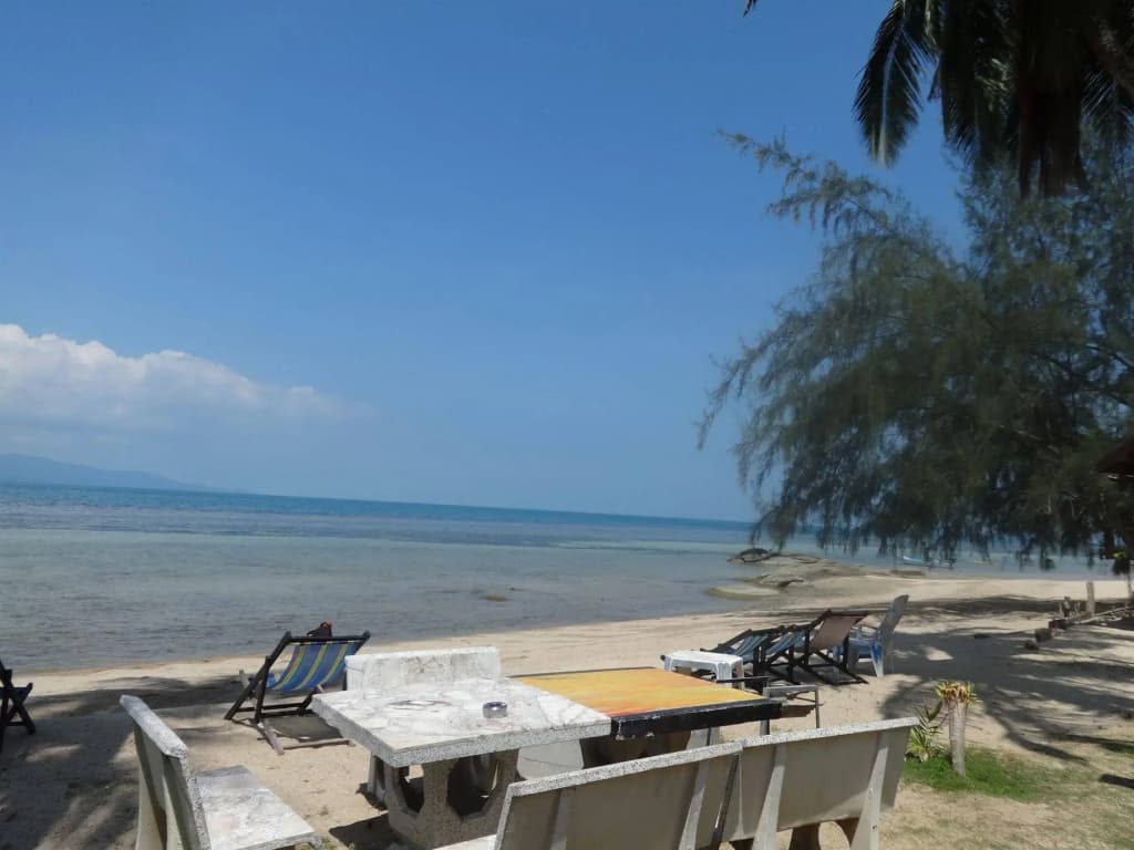 Bird Bungalow - photo 13