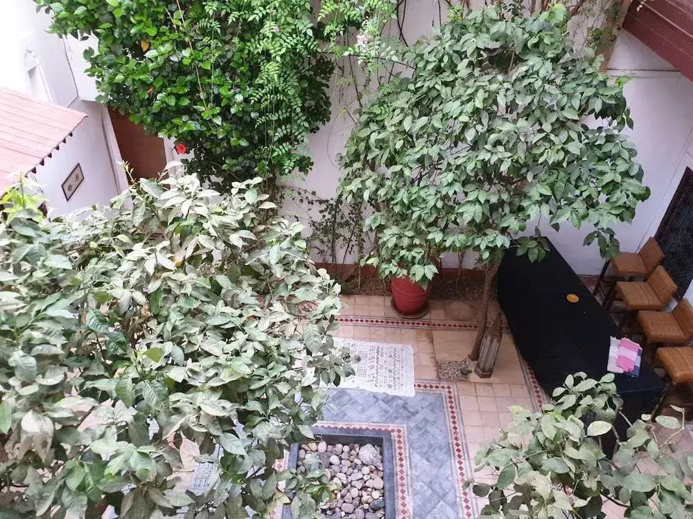 Riad Neela - photo 11