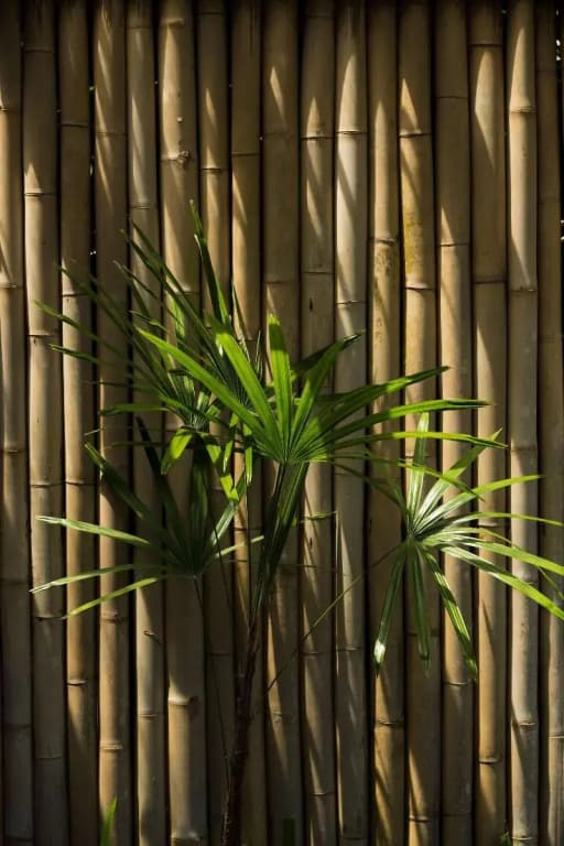 Anantara Mai Khao Phuket Villas - photo 1