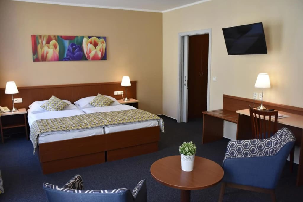 Aparthotel Austria Suites - photo 2