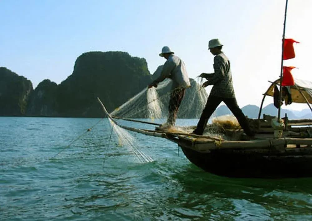 Halong Victory Cruise - photo 28