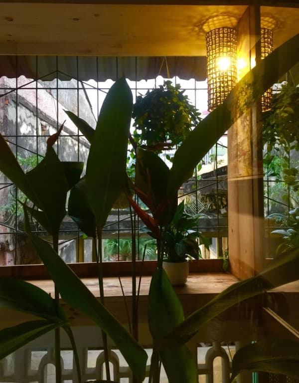 A Green Home - photo 16