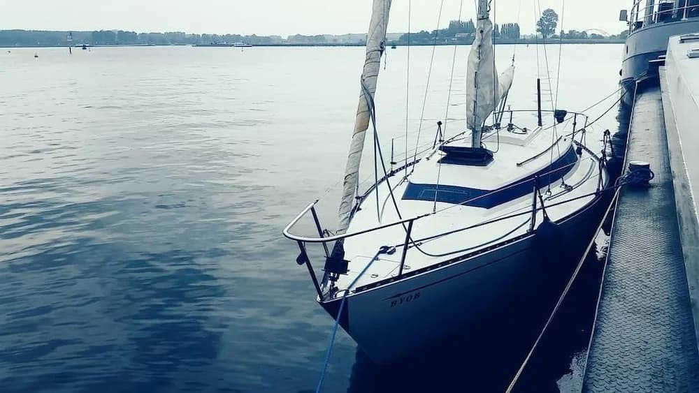City Sailing - photo 7
