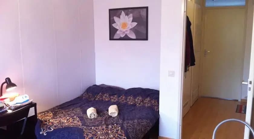 Casa Nueva - main photo