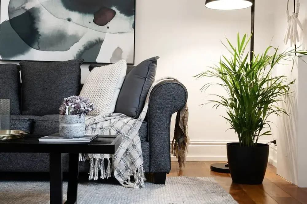 Perfect Laneway Terrace Surry Hills - photo 5