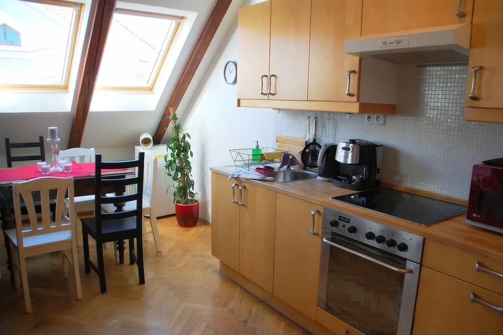 Generous Attic Apartment - photo 19