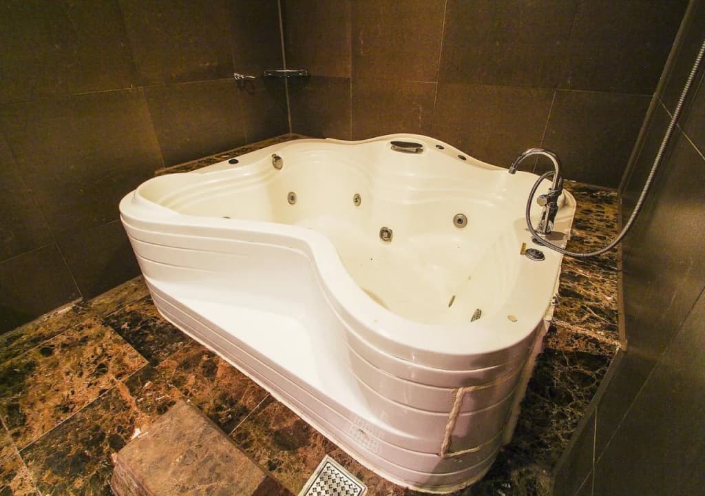 Dodo Tourist Hotel - photo 8