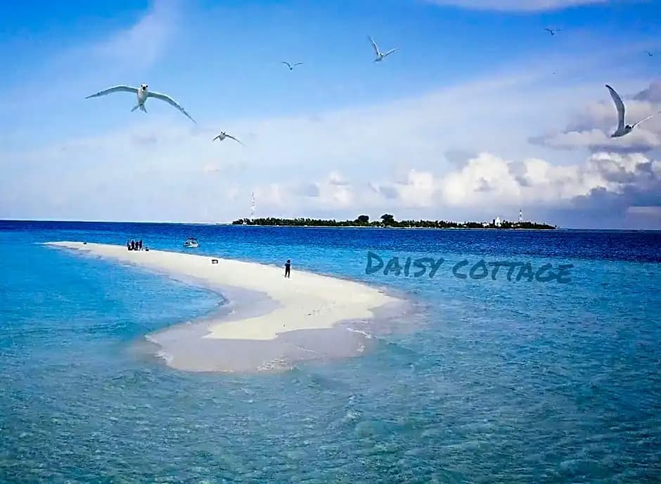Daisy Cottage Dhangethi - photo 9