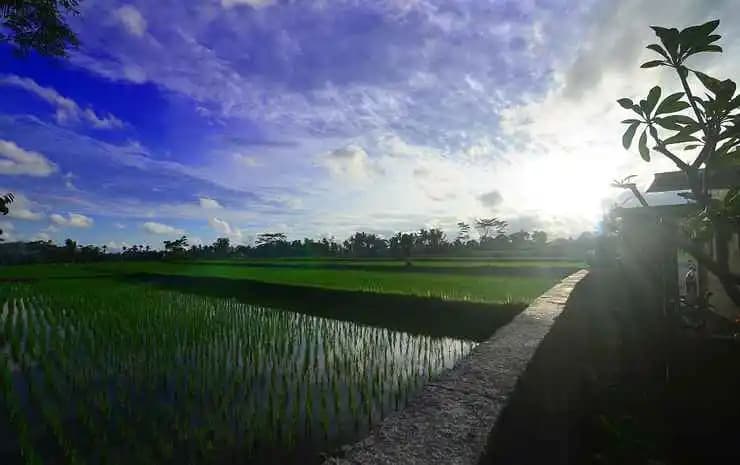 The Loyik Villa Ubud - photo 15