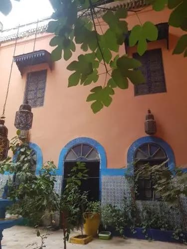 Riad Dar Kader - photo 11
