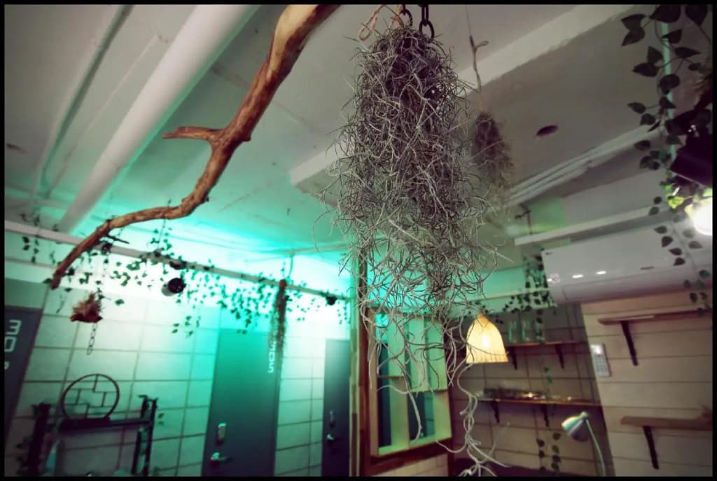 WS Hotel Sinchon - photo 19