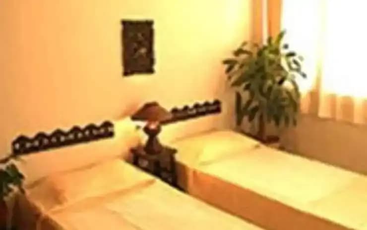 Asha Guest House - photo 2