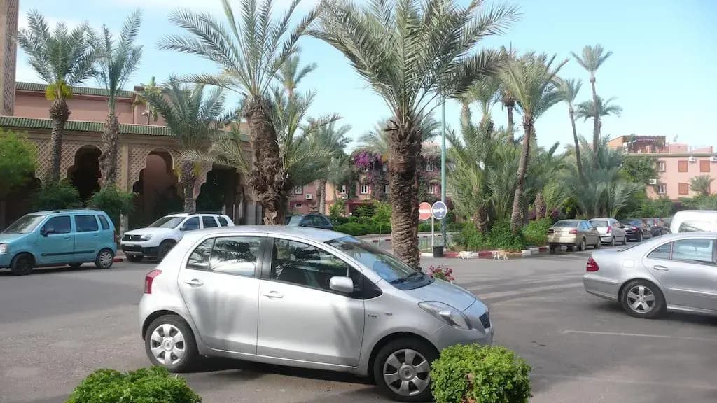 Dar Zahi - photo 15