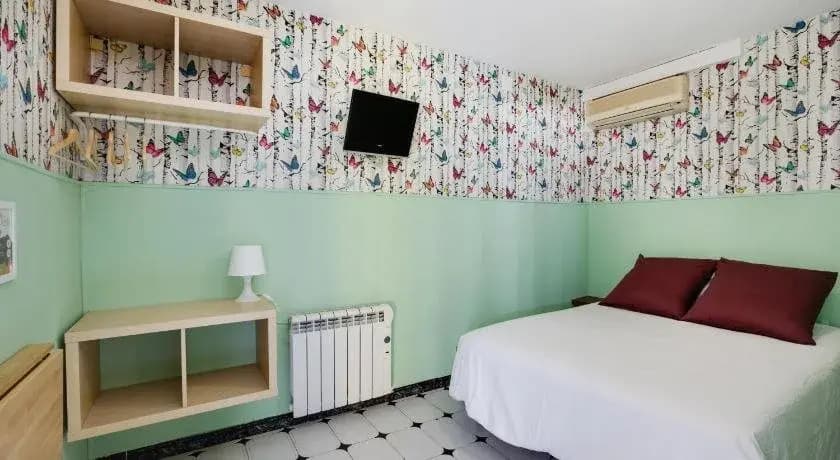 Hostal Oliveta - photo 15