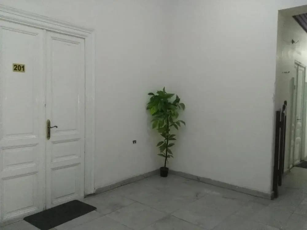 Safary Hotel - photo 11