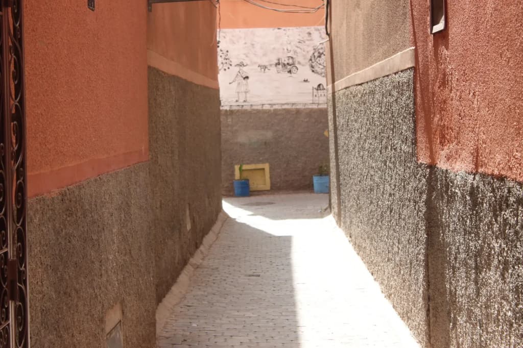 Riad Amra - photo 12