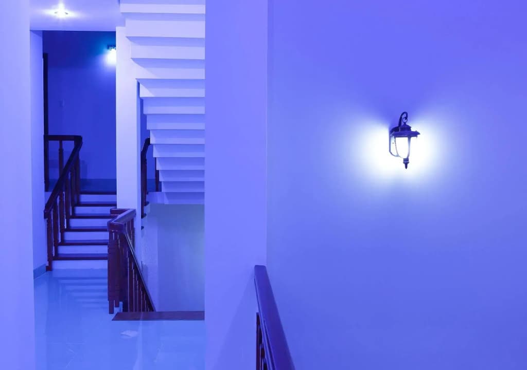 Hoang Thu Homestay - photo 12