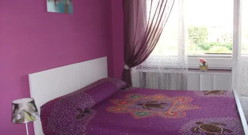 Mite - photo 7