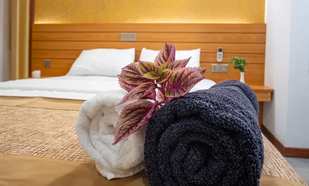 Nala Veli Beach & Spa - photo 23