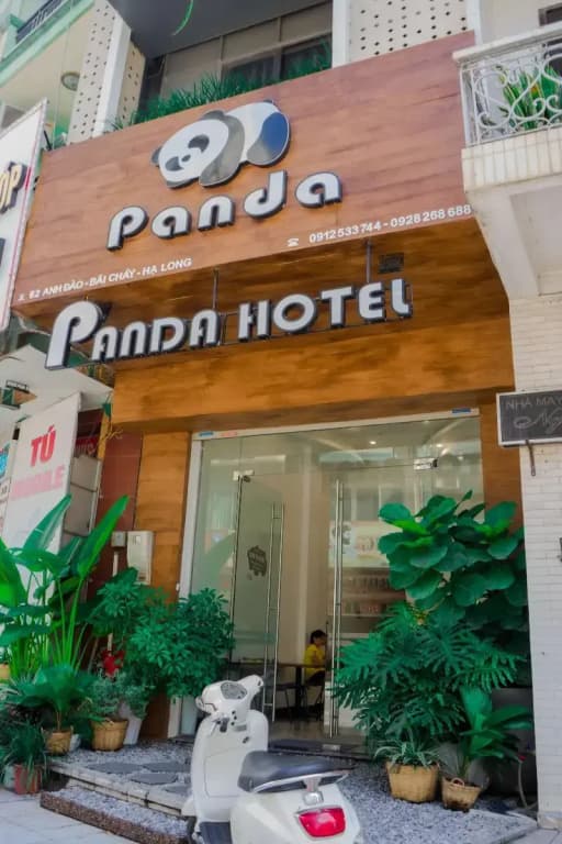 Bai Chay Panda Hotel - photo 1