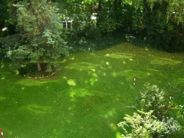 Nikol Apartments - Berlin - photo 10