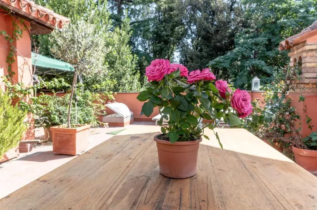 Villa Blanc House - photo 4