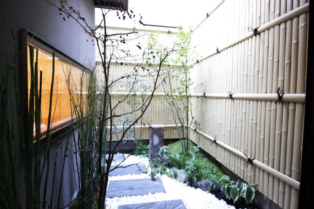 Hosta Nijo Sen - photo 20