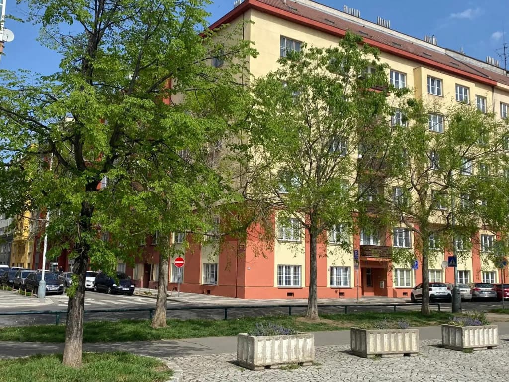 Tulip Apartment - photo 19