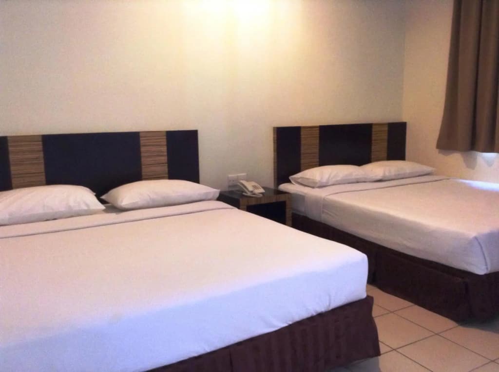 Hotel Traveller - photo 3