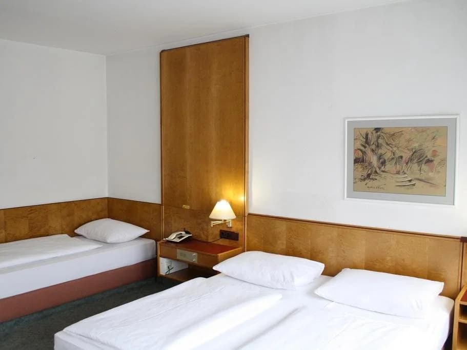 Hotel Ekazent Schönbrunn - photo 6