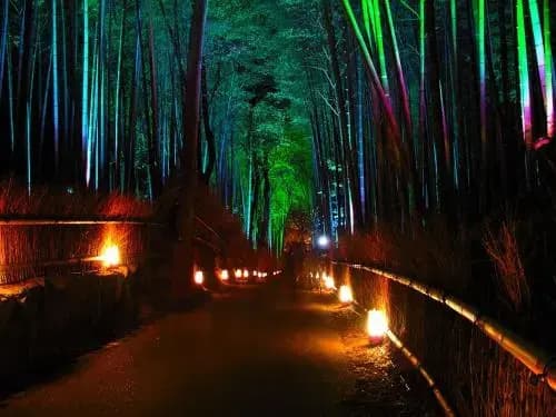 Hanatsuzuri Kyoto - photo 13