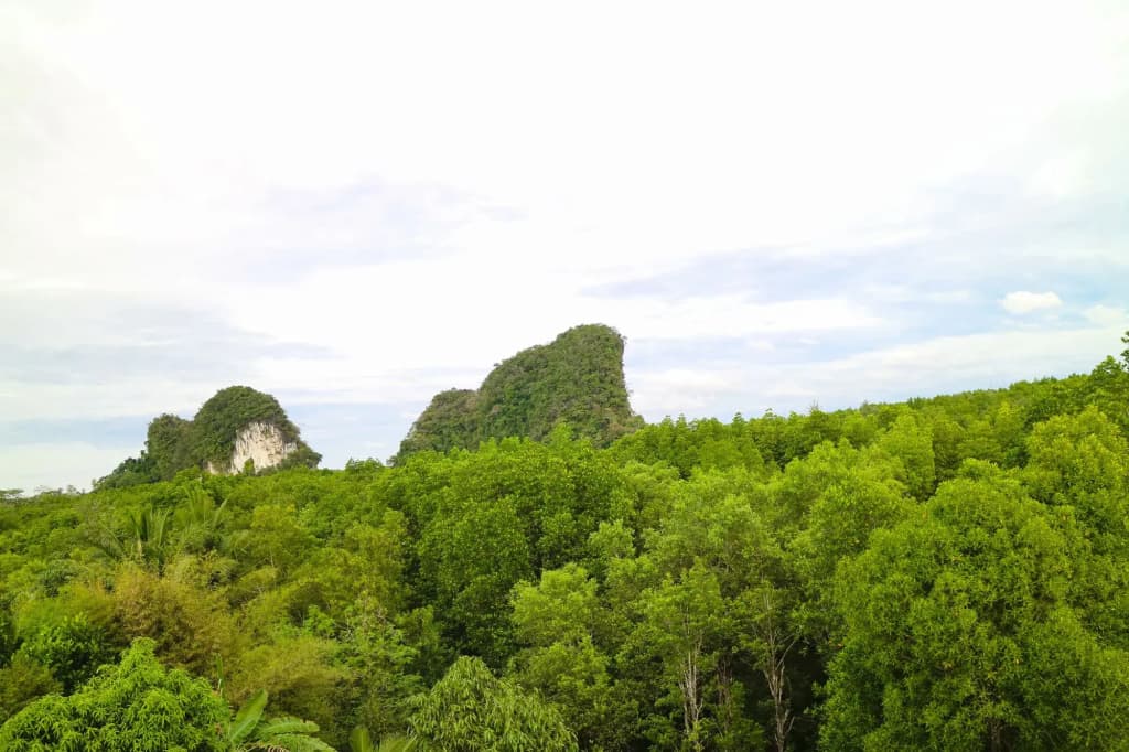 The Kim Krabi Hotel - photo 10
