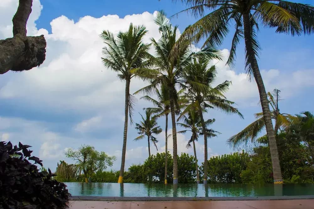 Andaru Villa Tabanan - photo 9