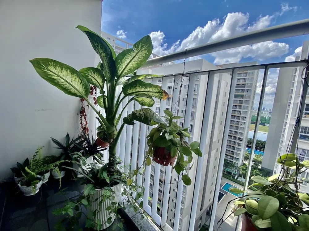 Tony Apartment Scenic Valley - photo 2