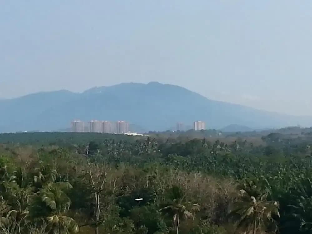 Hotel Alor Villa - photo 15