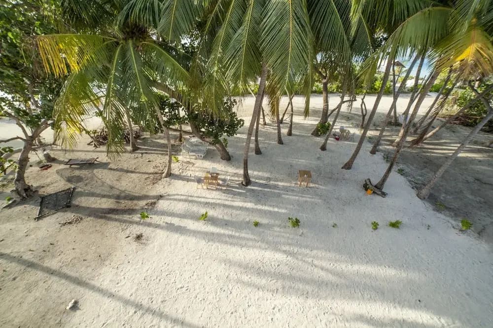 Portia Hotel & Spa - photo 20
