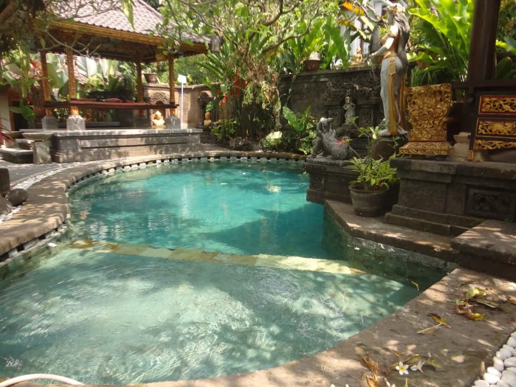 Monkey Forest Bungalow - photo 3
