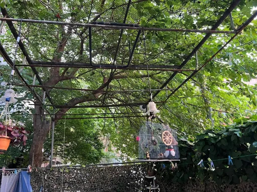 3 Room Flat in Tbilisi - photo 10
