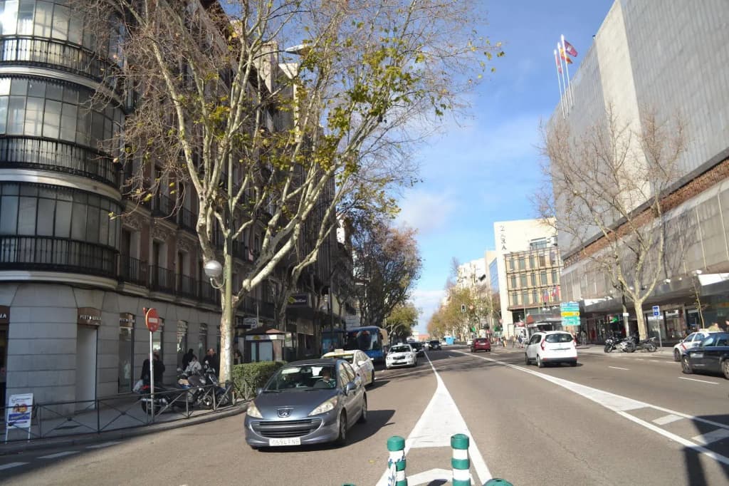 Overnight Madrid - photo 15