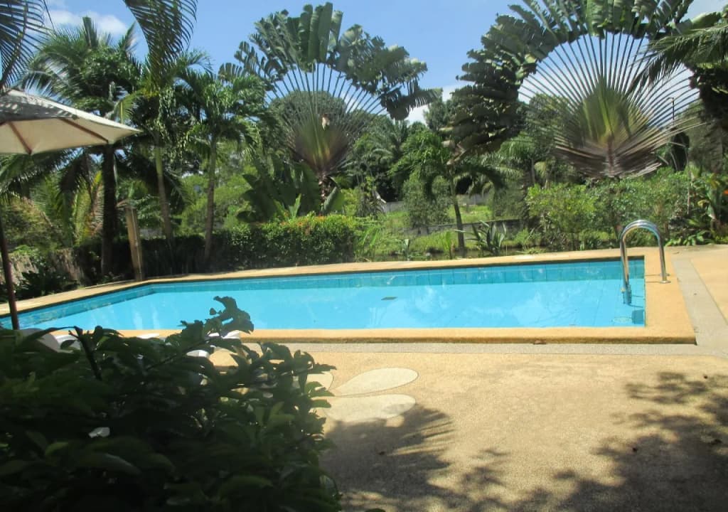 Happiness Resort - photo 14