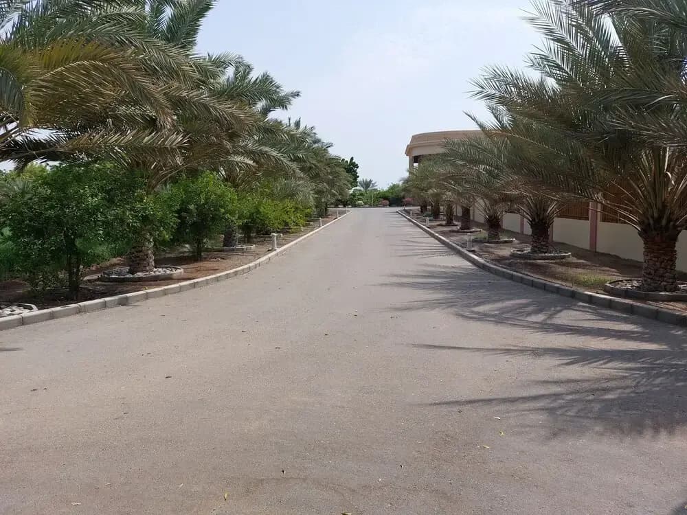 Asahalah Farm Villas - photo 18