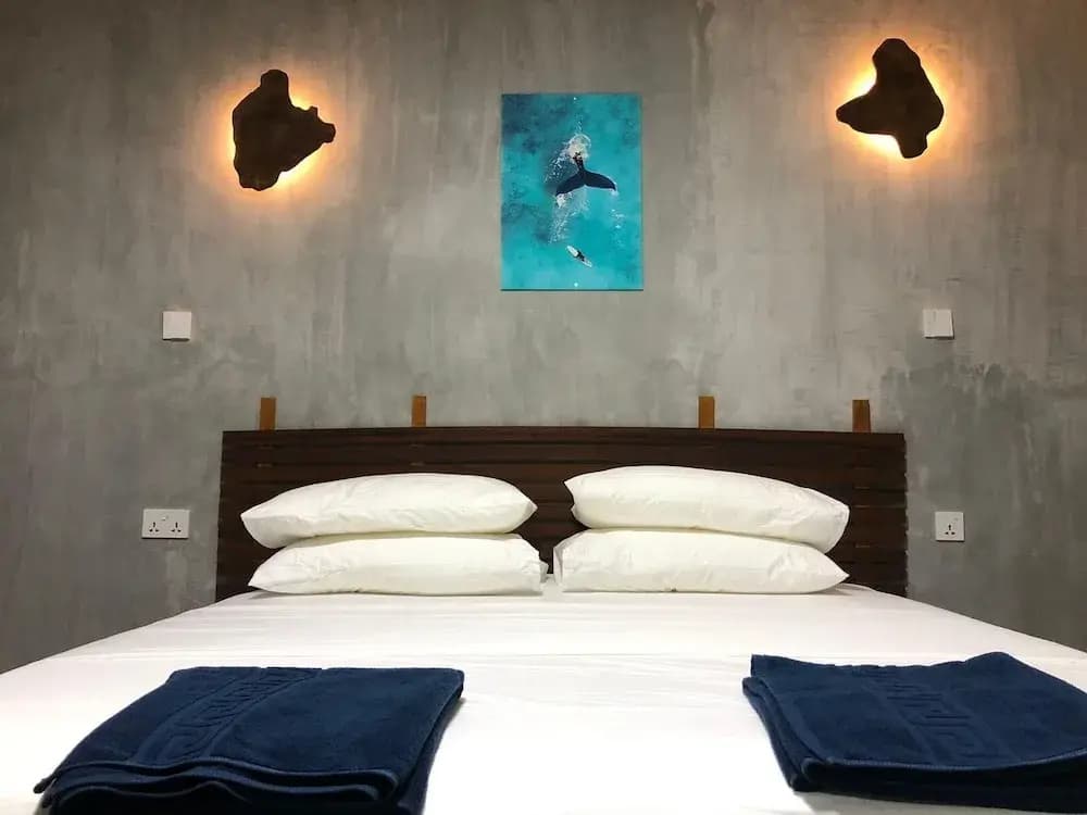 Dive and Sleep - All Inclusive Diving Guesthouse - 3 Dives per day - photo 3