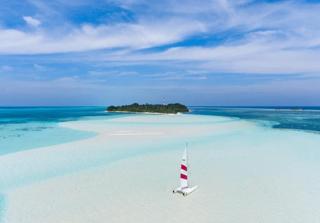 Olive Goidhoo Hotel - photo 11