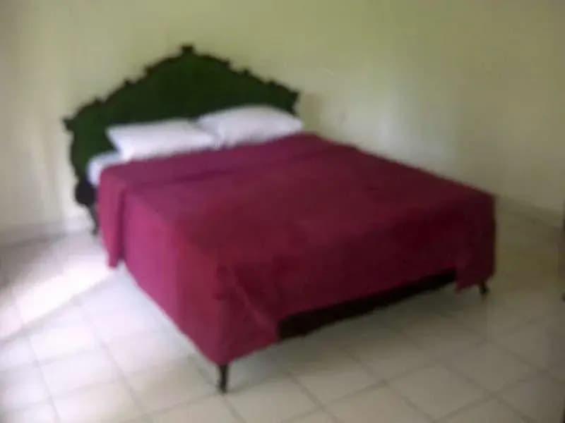 Puri Sari Cottage - photo 4
